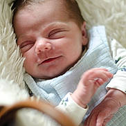 Iris participe au concours pour gagner de l'argent avec cette photo : newborn, baby, sleeping, blanket, basket, cozy, soft, face, hands, infant, cute, peaceful, resting, indoors, child, portrait, closeup, skin, clothing, warm