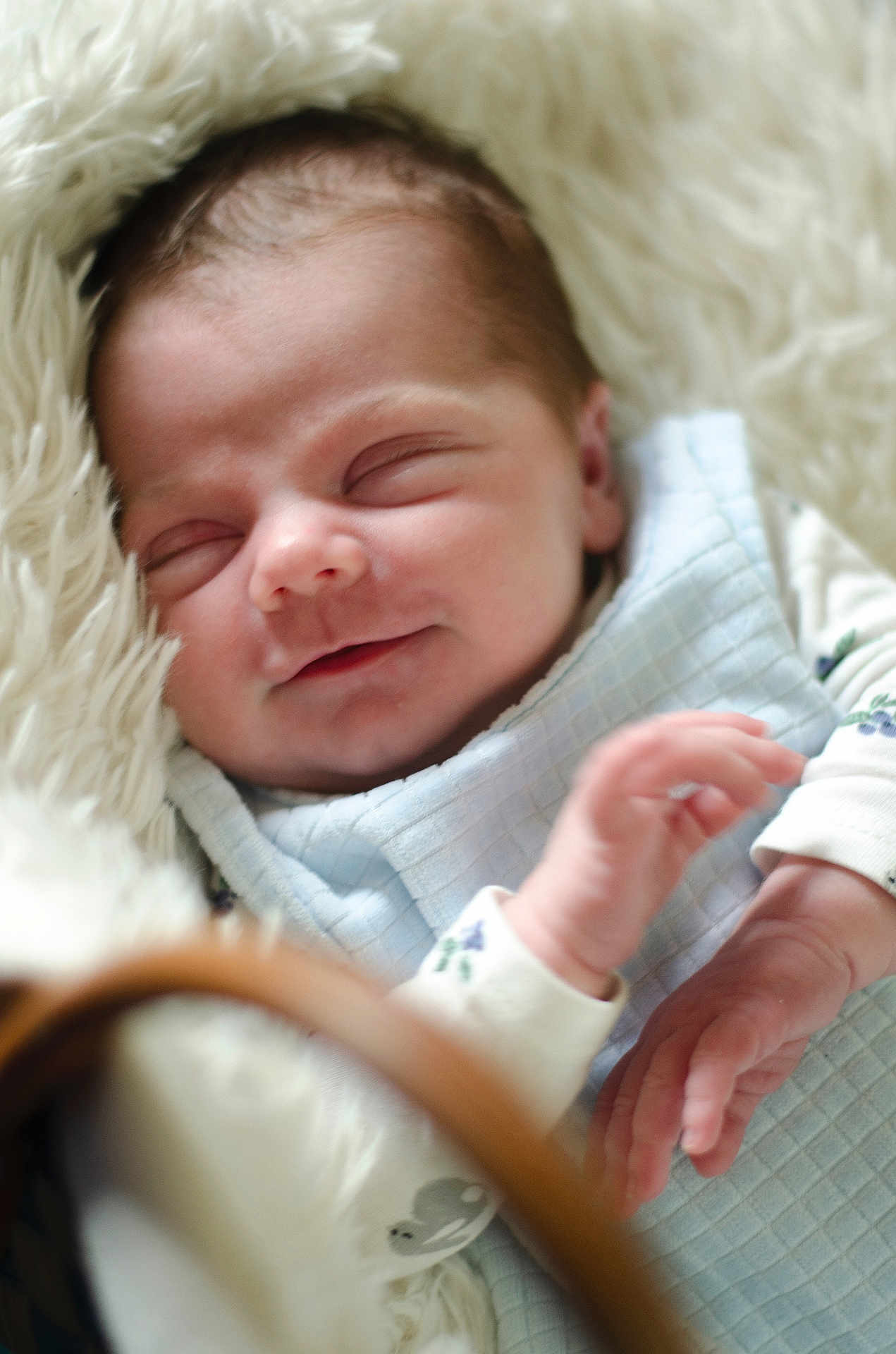 Iris participe au concours pour gagner de l'argent avec cette photo : newborn, baby, sleeping, blanket, basket, cozy, soft, face, hands, infant, cute, peaceful, resting, indoors, child, portrait, closeup, skin, clothing, warm