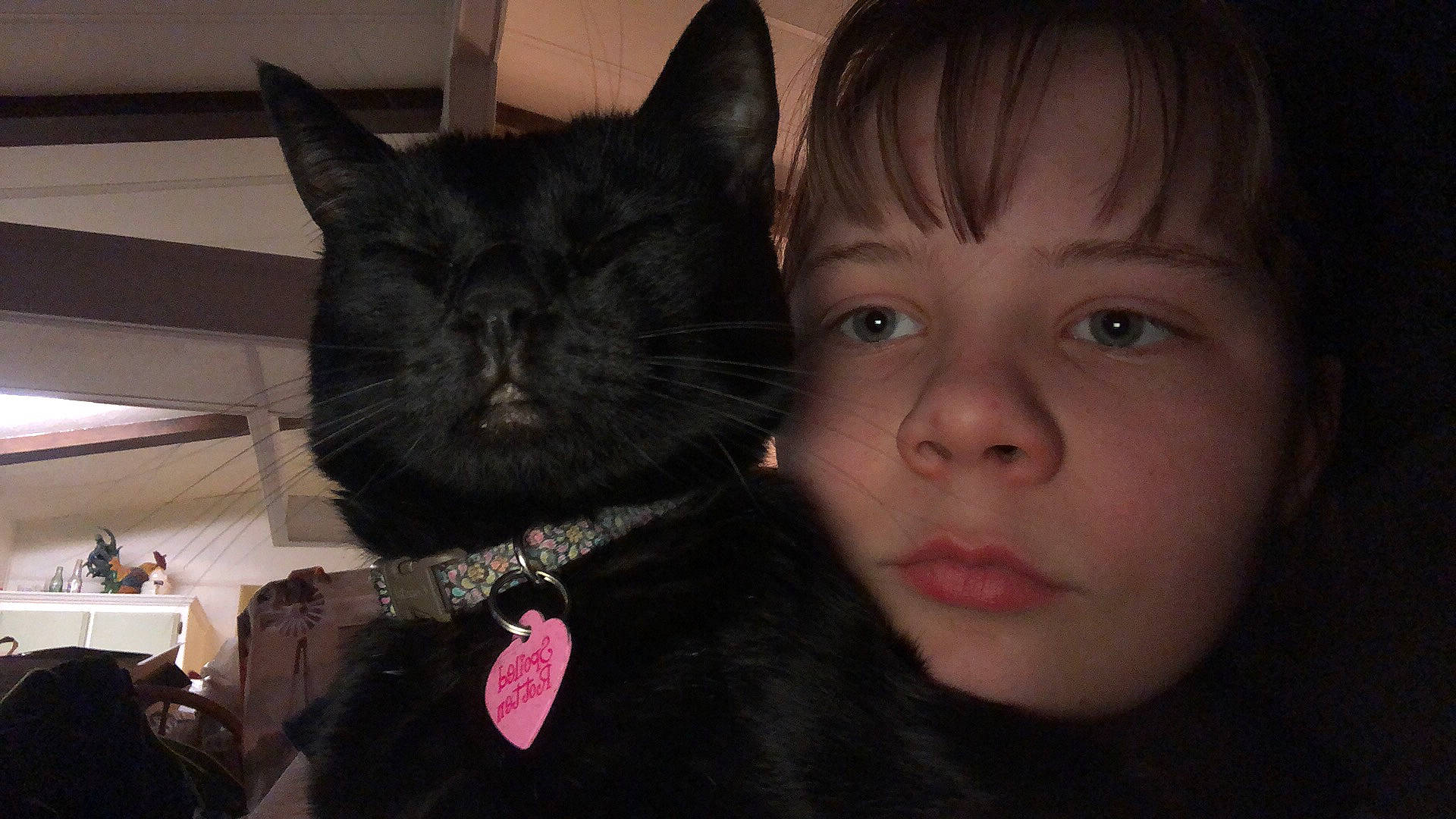 Kyree joined the competition — help win amazing prizes! black_cat, black_hair, carnivore, cat, cheek, domestic_short_haired_cat, ear, eye, felidae, fur, hair, iris, lip, mouth, nose, organ, skin, small_to_medium_sized_cats, snout, whiskers