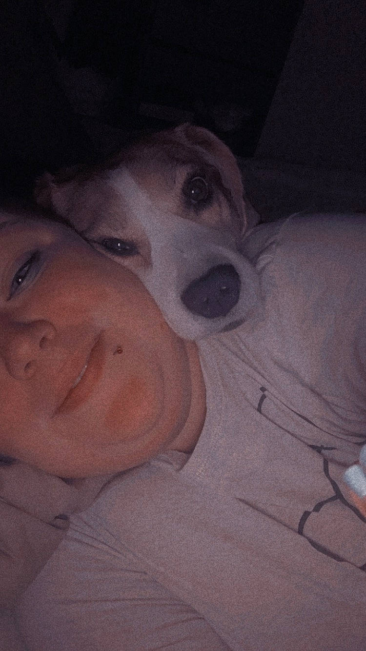 Ikow participe au concours pour gagner de l'argent avec cette photo : carnivore, cloud, comfort, companion_dog, dog, dog_breed, ear, eyebrow, fawn, flash_photography, gesture, happy, jaw, mouth, nose, selfie, smile, snout, t_shirt, trunk