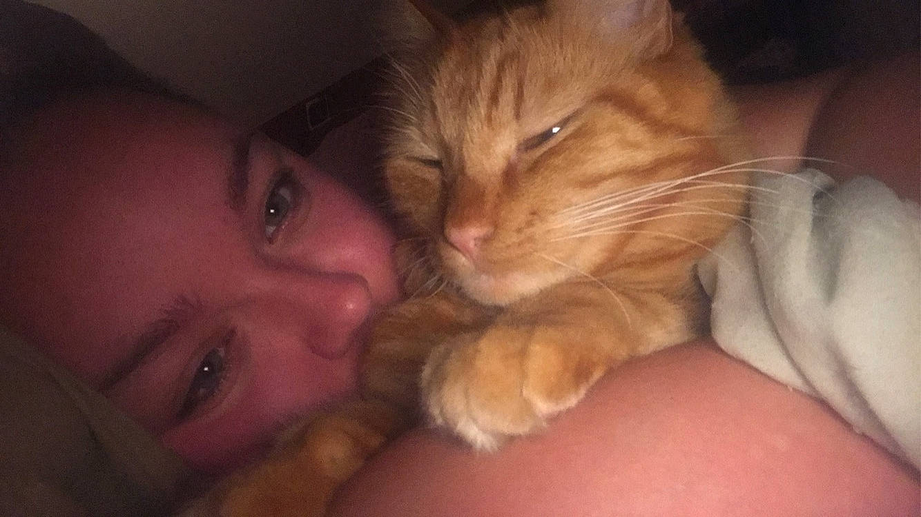 Simba a rejoint le concours — aidez-le/la à gagner de superbes lots ! brown_hair, carnivore, cat, comfort, domestic_short_haired_cat, ear, eyelash, fawn, felidae, fur, gesture, happy, iris, jaw, mouth, nail, nose, small_to_medium_sized_cats, thumb, whiskers