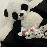 Djyseï a rejoint le concours — aidez-le/la à gagner de superbes lots ! baby, panda, plush_toy, stuffed_animal, pacifier, onesie, bow, couch, black_and_white, infant, cute, soft_toy, indoor, child, portrait, resting, cozy, fabric, furniture, smiling
