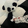 baby, panda, plush_toy, stuffed_animal, pacifier, onesie, bow, couch, black_and_white, infant, cute, soft_toy, indoor, child, portrait, resting, cozy, fabric, furniture, smiling