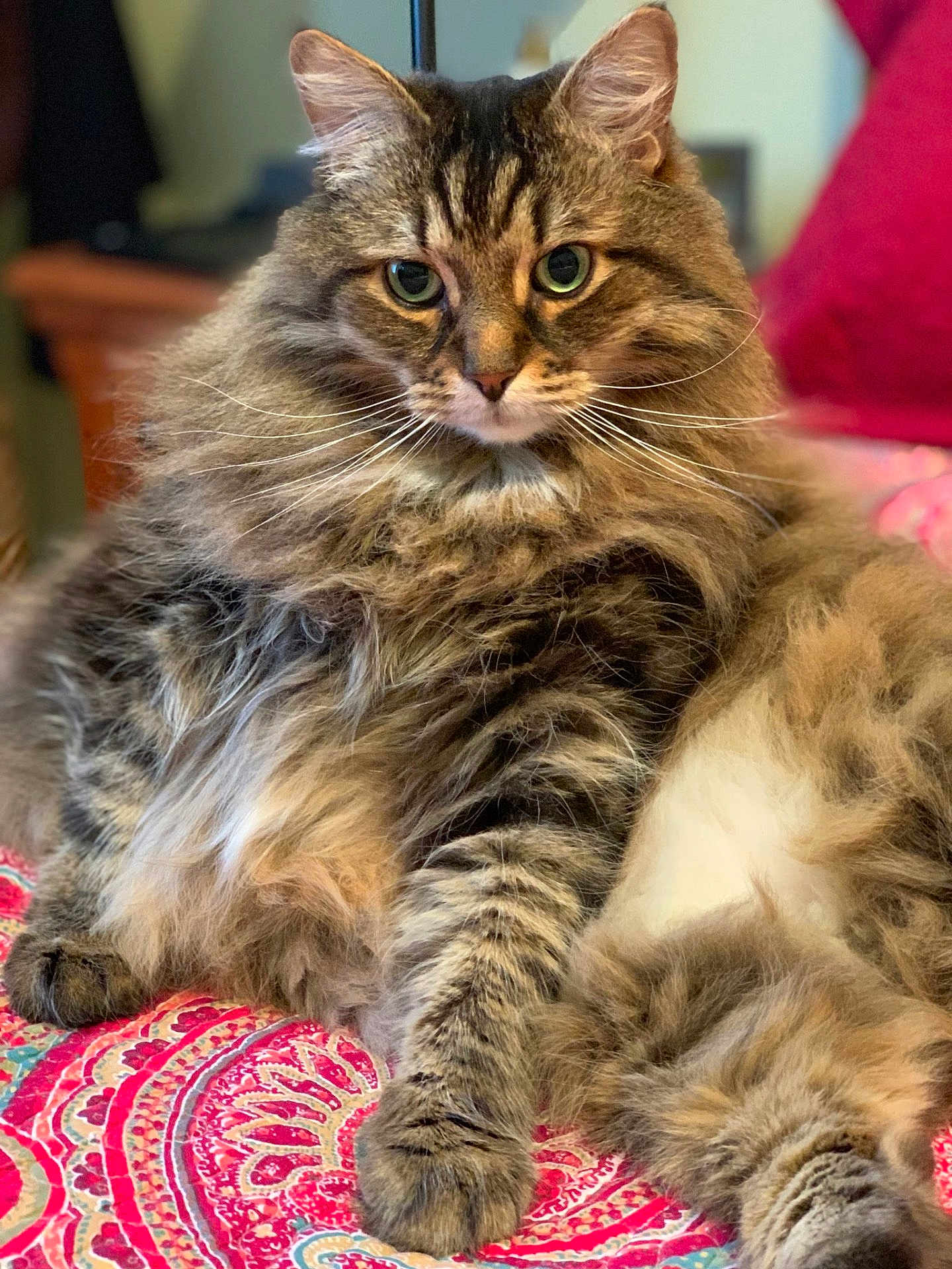 Max
