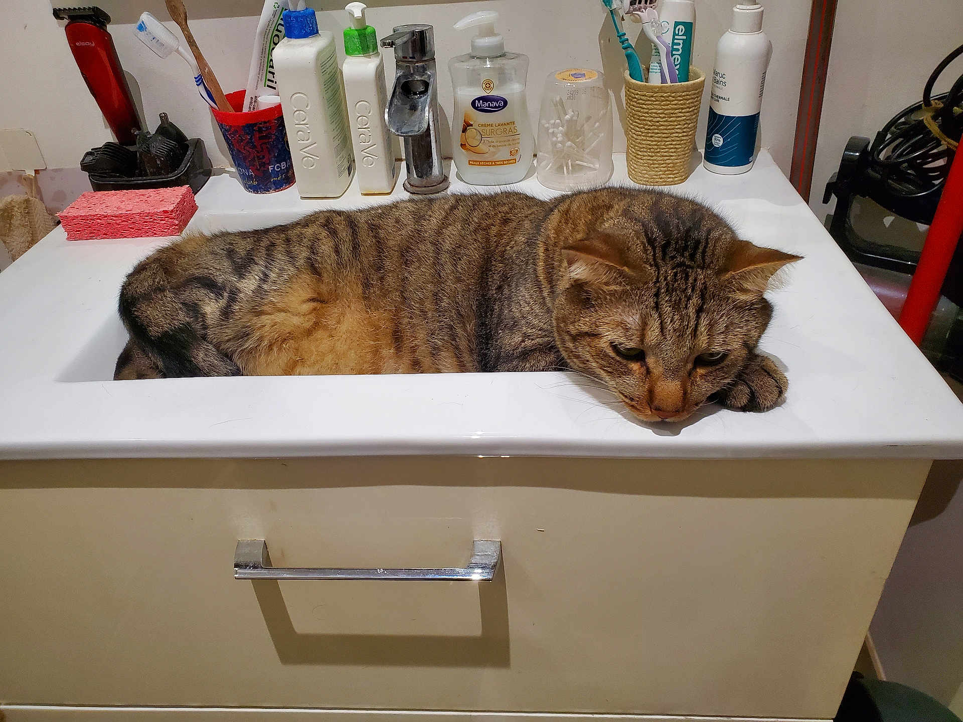 Tigrou