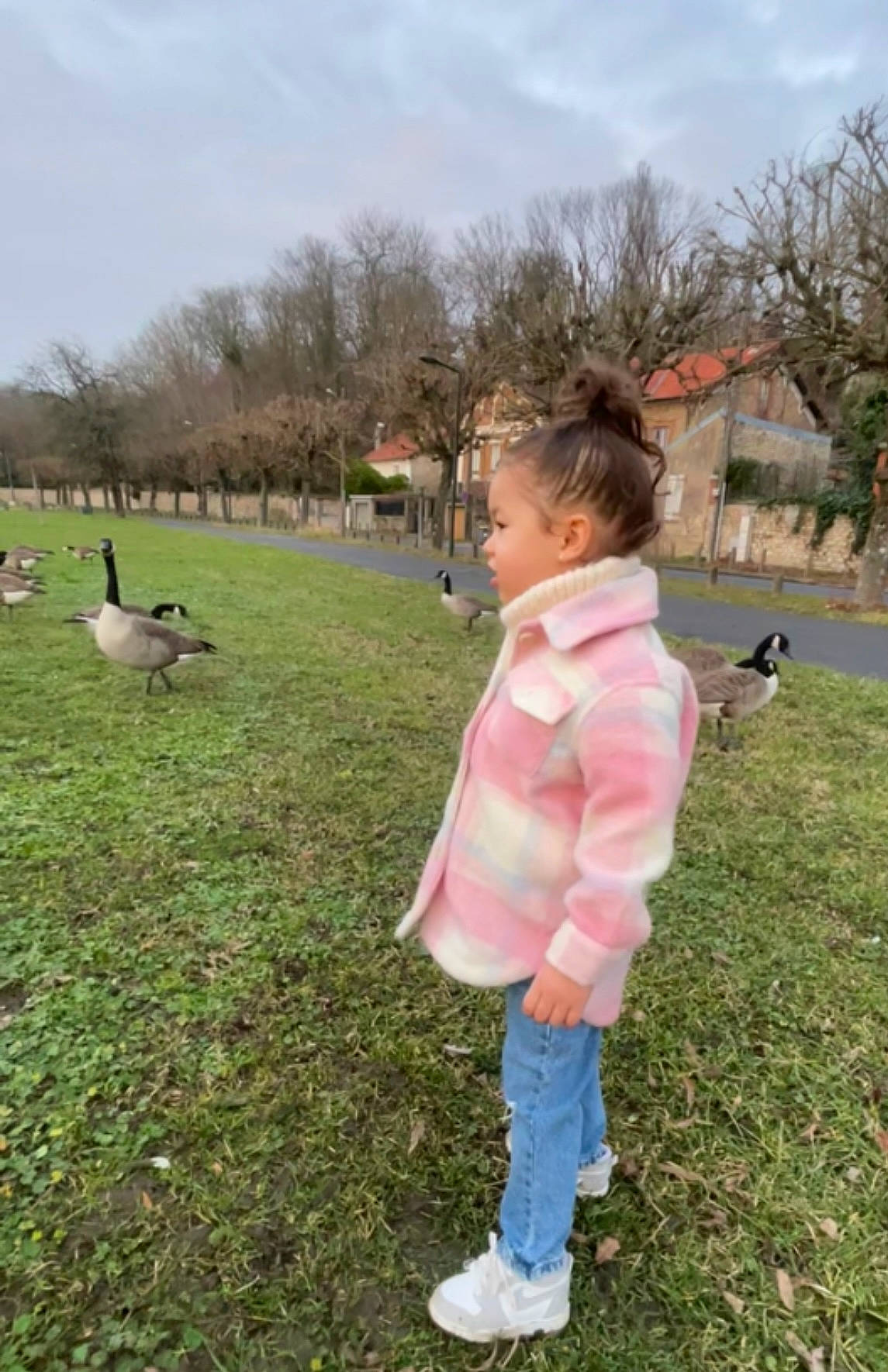 Liya participe au concours pour gagner de l'argent avec cette photo : _geese_and_swans, bird, cloud, duck, ducks, grass, grass_family, grassland, jacket, lawn, leisure, mammal, people_in_nature, person, plant, recreation, sky, toddler, tree, vertebrate