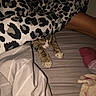 Psycho Meow joined the competition — help win amazing prizes! cat, tabby_cat, blanket, bed, sleeping, paws, striped, person_leg, comfort, indoor, resting, soft_lighting, fabric, cozy, animal, pet, relaxed, feline, pattern, warm