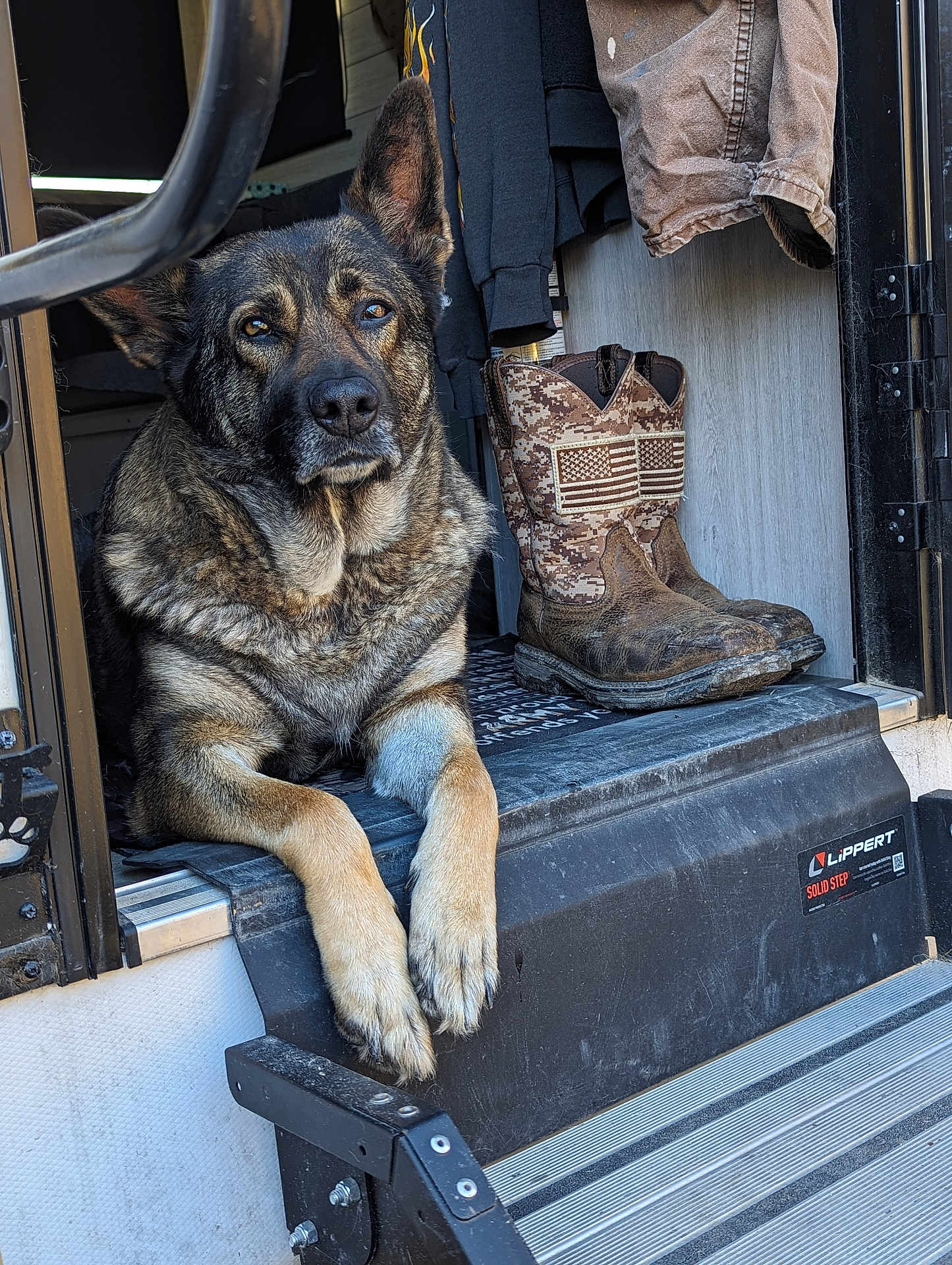 Sandy is registered to the contest to win money with this photo: dog, german_shepherd, boots, camo, american_flag, step, paw, fur, ears, animal, pet, resting, outdoor, vehicle, door, clothing, fabric, metal, floor, black