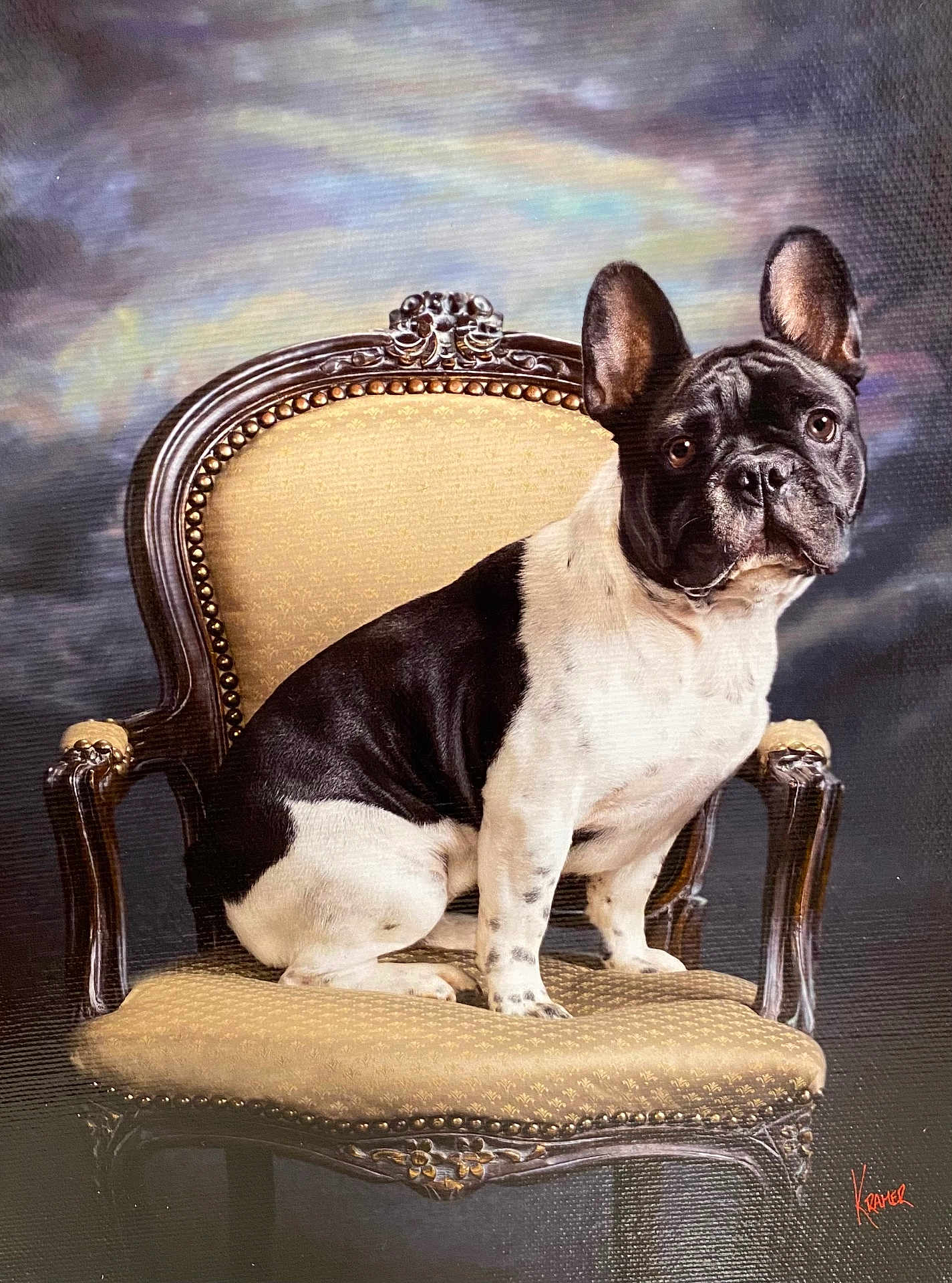 Hunter is registered to the contest to win money with this photo: dog, french_bulldog, chair, vintage, portrait, animal, pet, seated, black_and_white, ears, furniture, decorative, indoor, pose, looking_at_camera, canine, domestic_animal, studio, classic, background