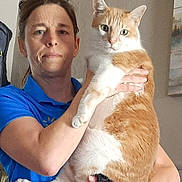 Hazelnut joined the competition — help win amazing prizes! person, cat, indoor, blue_shirt, orange_cat, white_cat, holding, pet, furniture, wall, glasses, hand_glove, portrait, looking_at_camera, casual, home, animal, face, expression, light