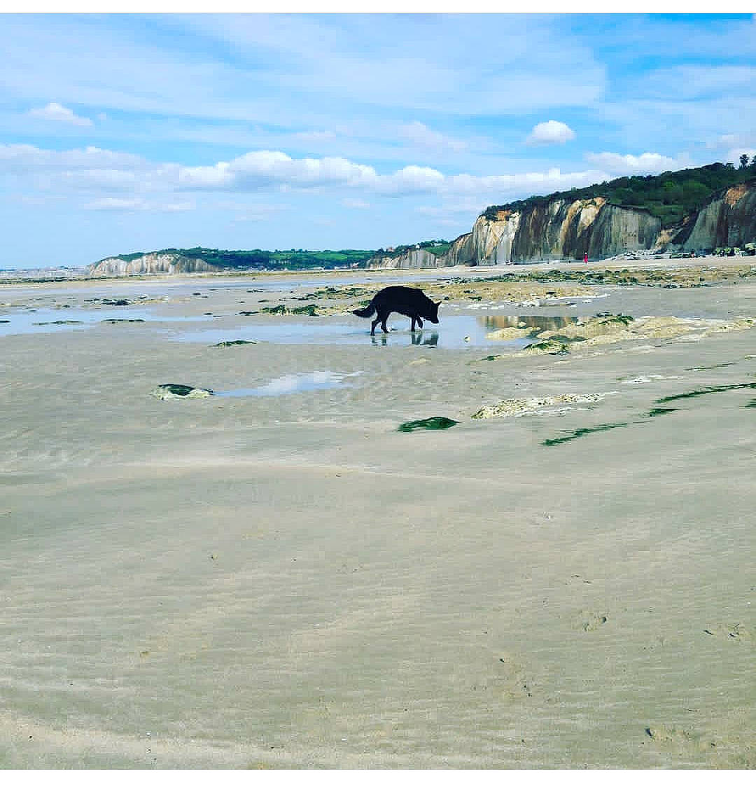 Maru participe au concours pour gagner de l'argent avec cette photo : bay, beach, coast, coastal_and_oceanic_landforms, ocean, sand, sea, shore, sky, vacation