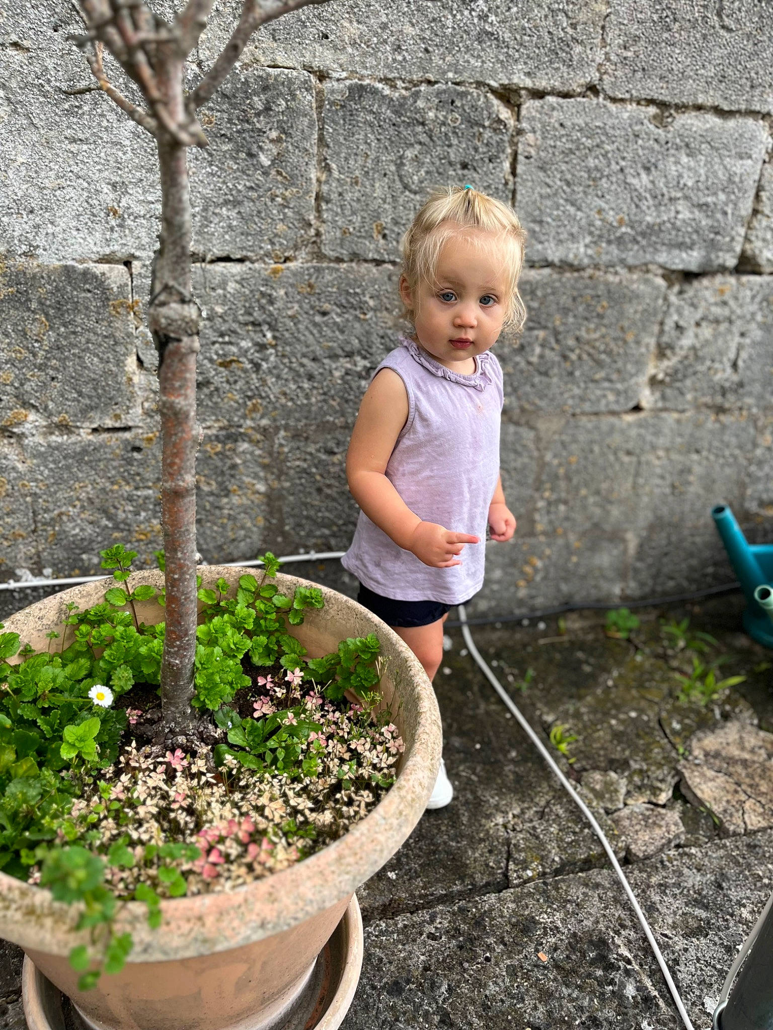 Naomi a rejoint le concours — aidez-le/la à gagner de superbes lots ! annual_plant, child, flower, flowerpot, garden, gardening, grass, groundcover, herb, houseplant, landscaping, people_in_nature, person, plant, shrub, soil, spring, t_shirt, terrestrial_plant, toddler