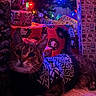 Milo joined the competition — help win amazing prizes!  presents, animal_portrait, blanket, cat, christmas, christmas_tree, colorful_lights, couch, cozy, festive, gift_boxes, hello_kitty, holiday, indoors, knitted_clothing, pet, relaxed, sweater, tabby_cat, whiskers