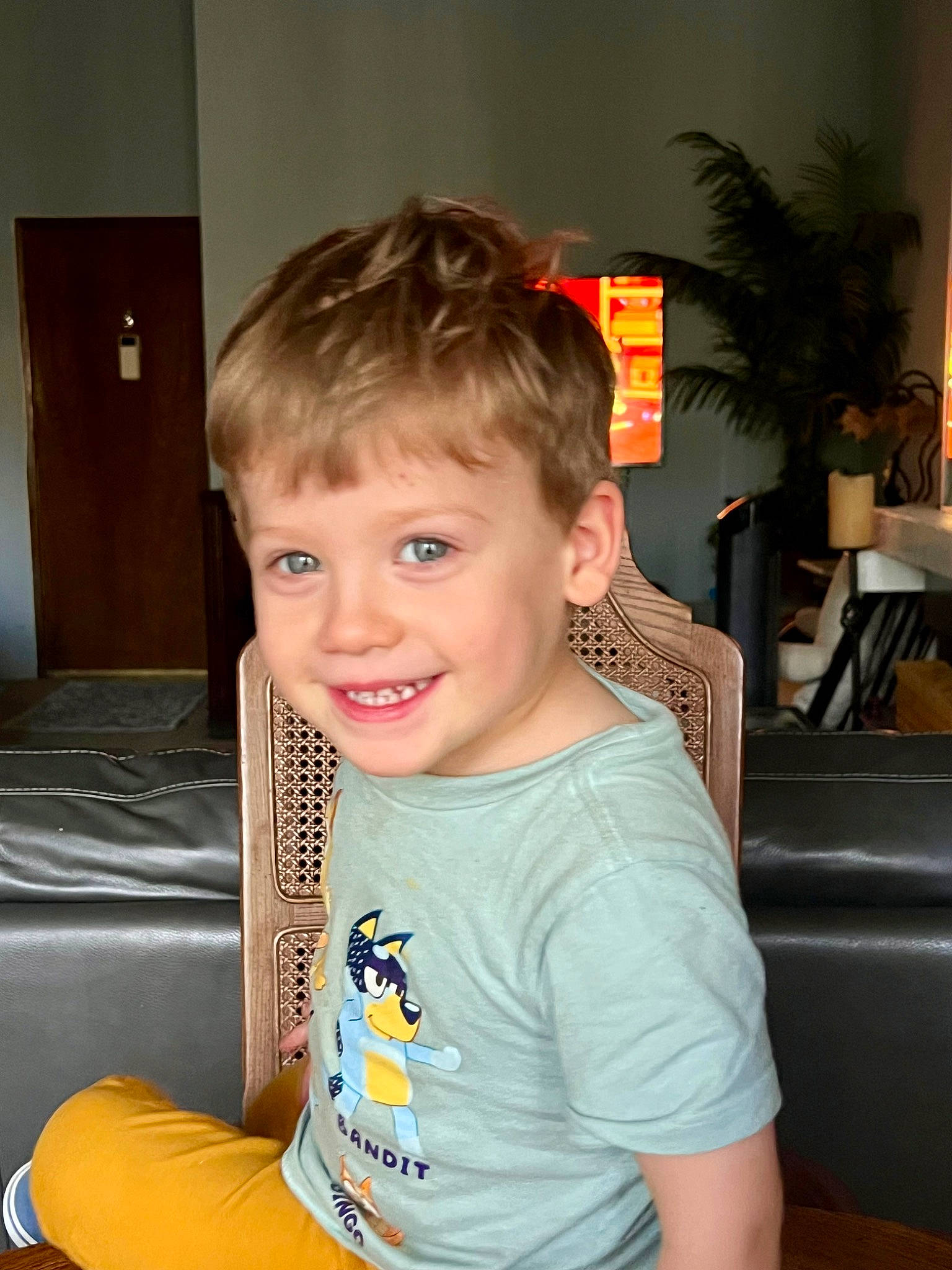 Gavin joined the competition — help win amazing prizes! bangs, blond, chair, child, couch, flowerpot, fun, happy, houseplant, joy, laugh, leisure, living_room, person, plant, room, sitting, smile, t_shirt, toddler