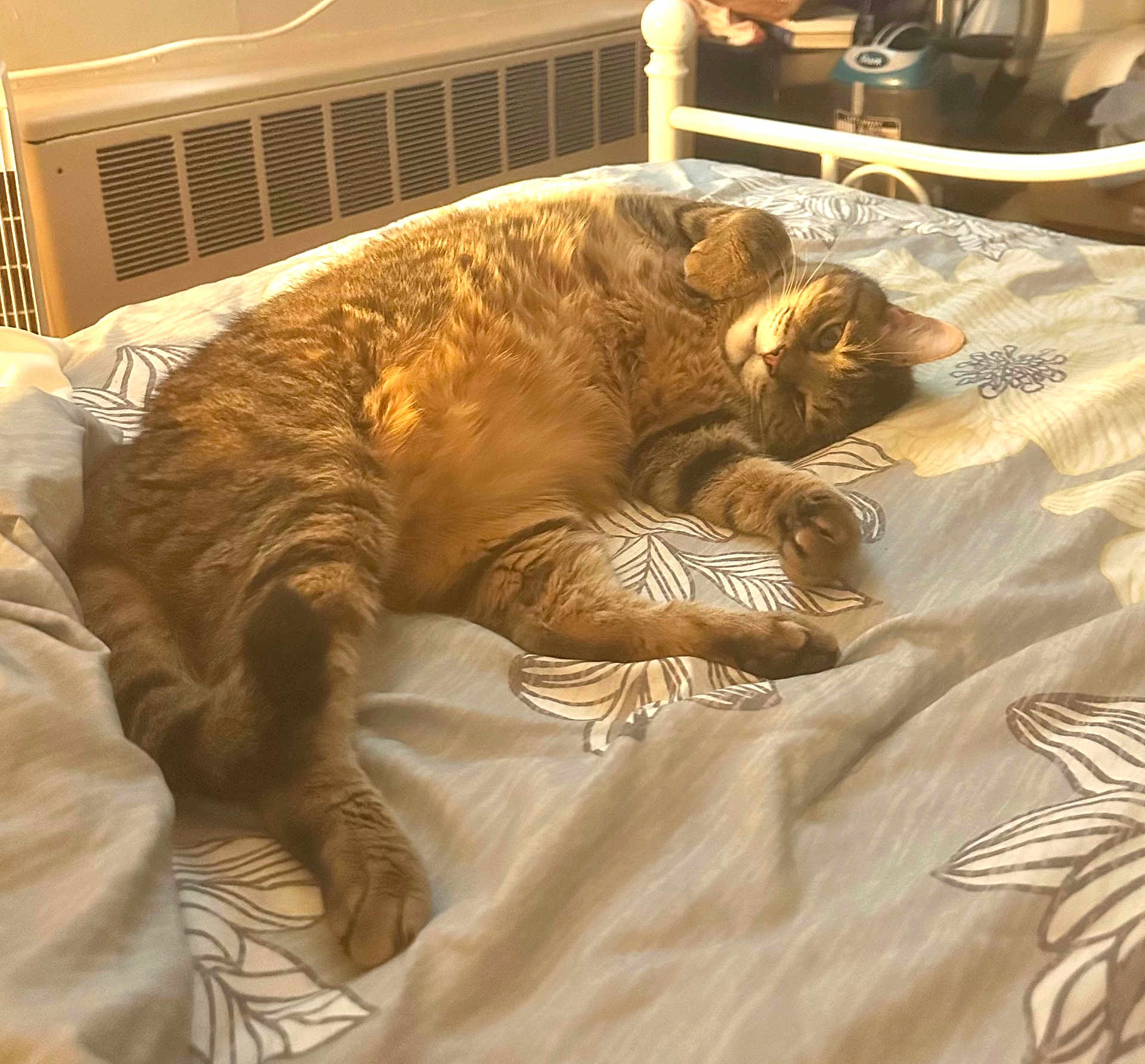 Houdini