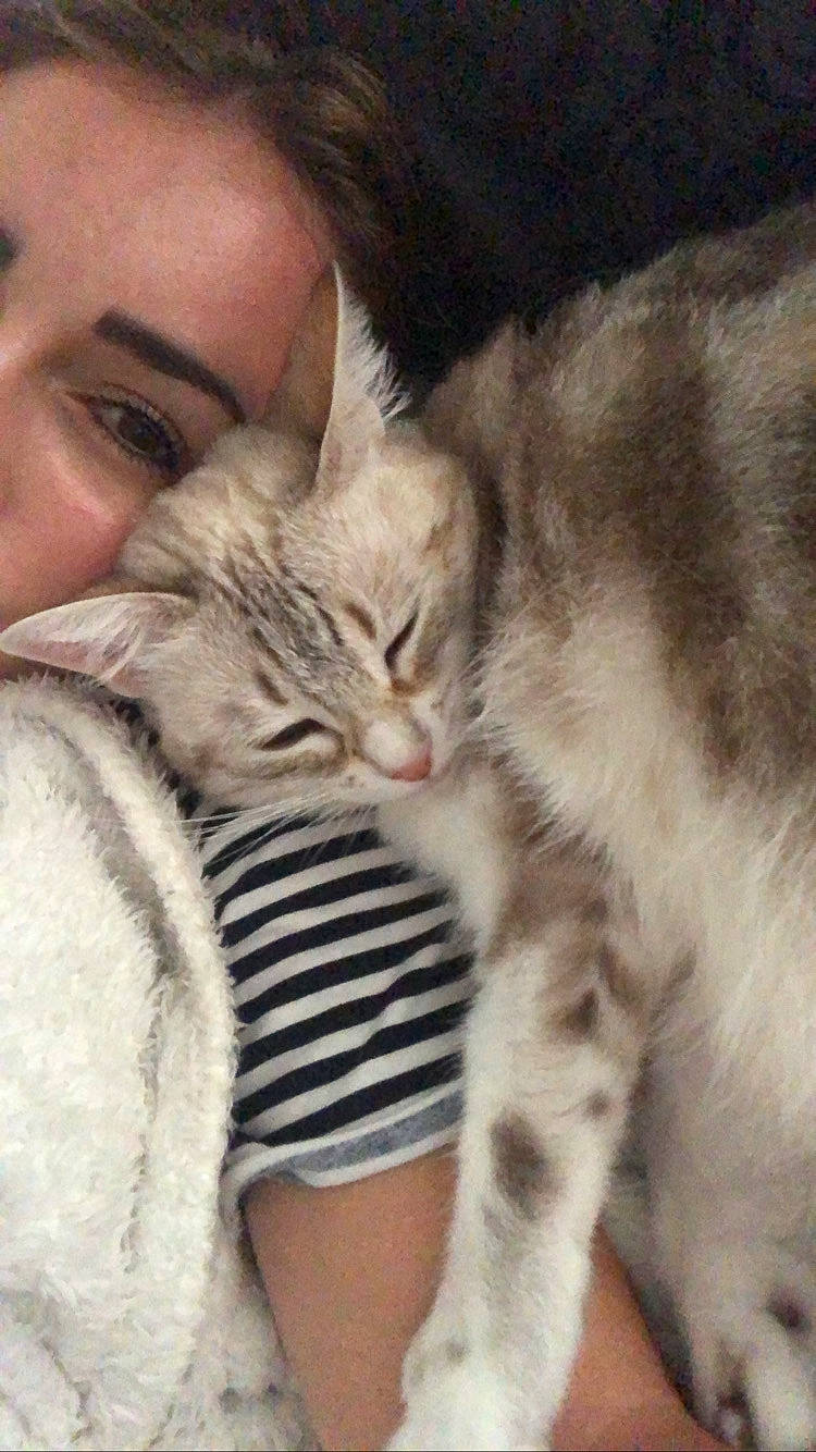 Rita participe au concours pour gagner de l'argent avec cette photo : carnivore, cat, claw, comfort, domestic_short_haired_cat, ear, eye, fawn, felidae, fur, gesture, hair, nail, nap, paw, small_to_medium_sized_cats, smile, snout, tail, whiskers