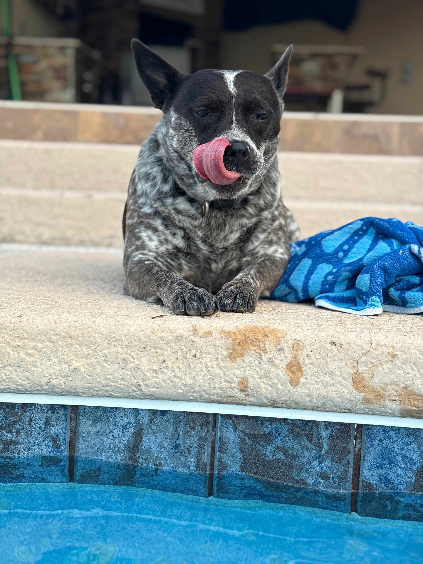 Coco