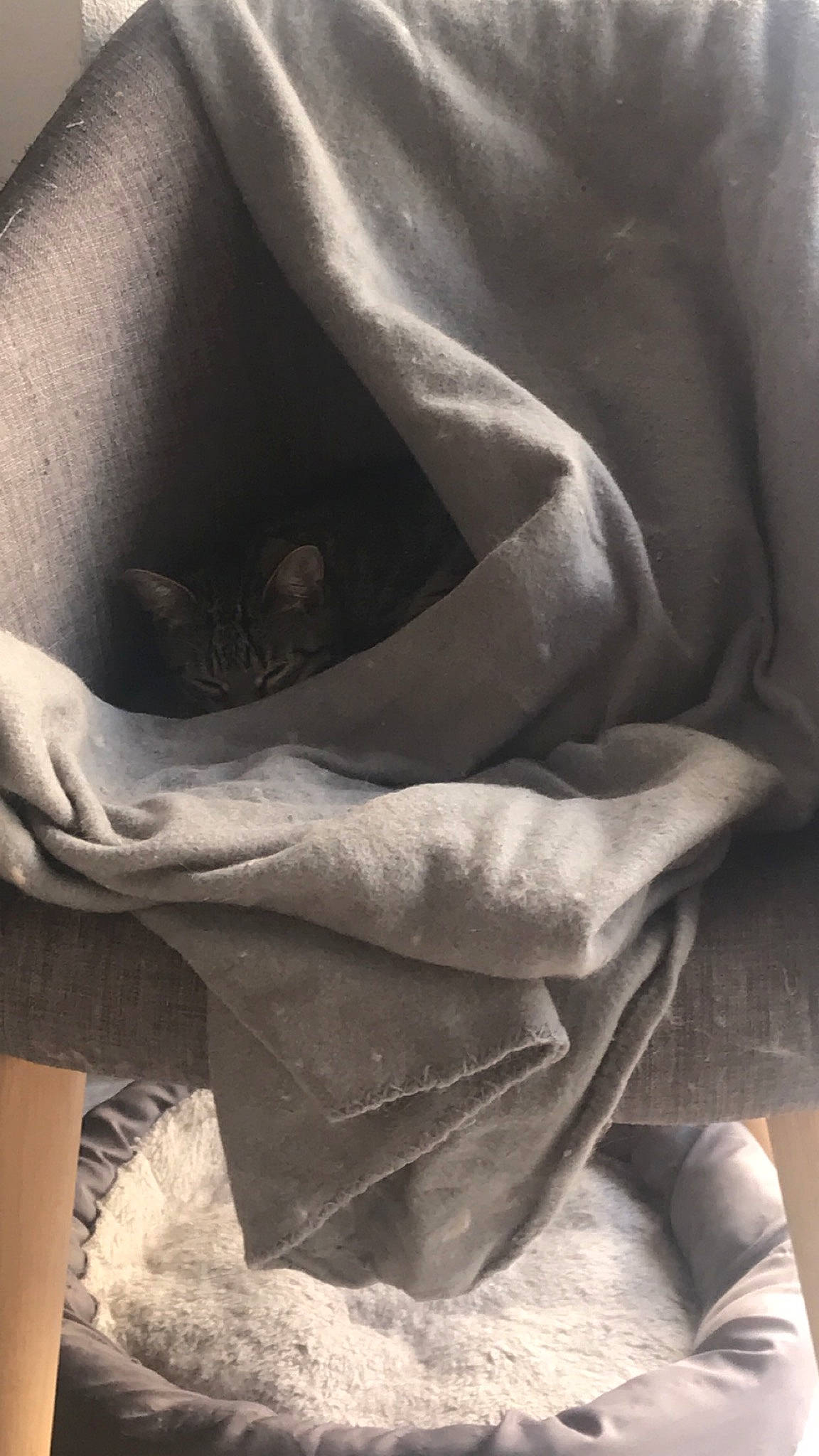 Mya a rejoint le concours — aidez-le/la à gagner de superbes lots ! arm, black_and_white, elbow, gesture, hand, linens, monochrome, monochrome_photography, photography, textile