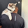 dog, puppy, husky, blue_eyes, man, back_view, black_shirt, collar, chain_necklace, shoulder, pet, outdoor, gate, wall, fur, animal, cute, young_dog, companion, resting