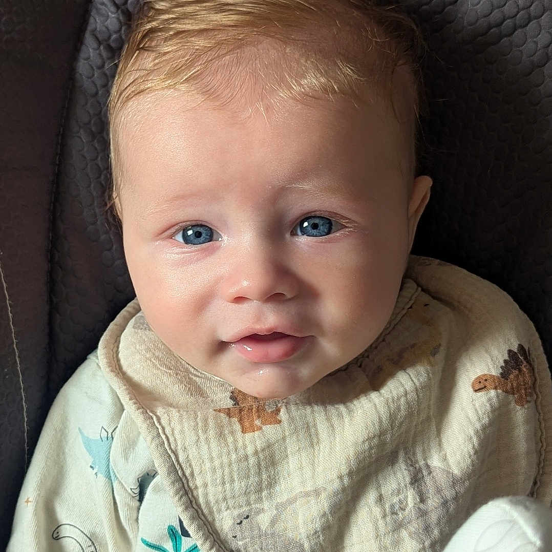 Sacha participe au concours pour gagner de l'argent avec cette photo : baby, infant, blue_eyes, blond_hair, bib, cute, plush_toy, portrait, close_up, child, young, sitting, soft_lighting, indoor, expression, face, clothing, texture, background, adorable