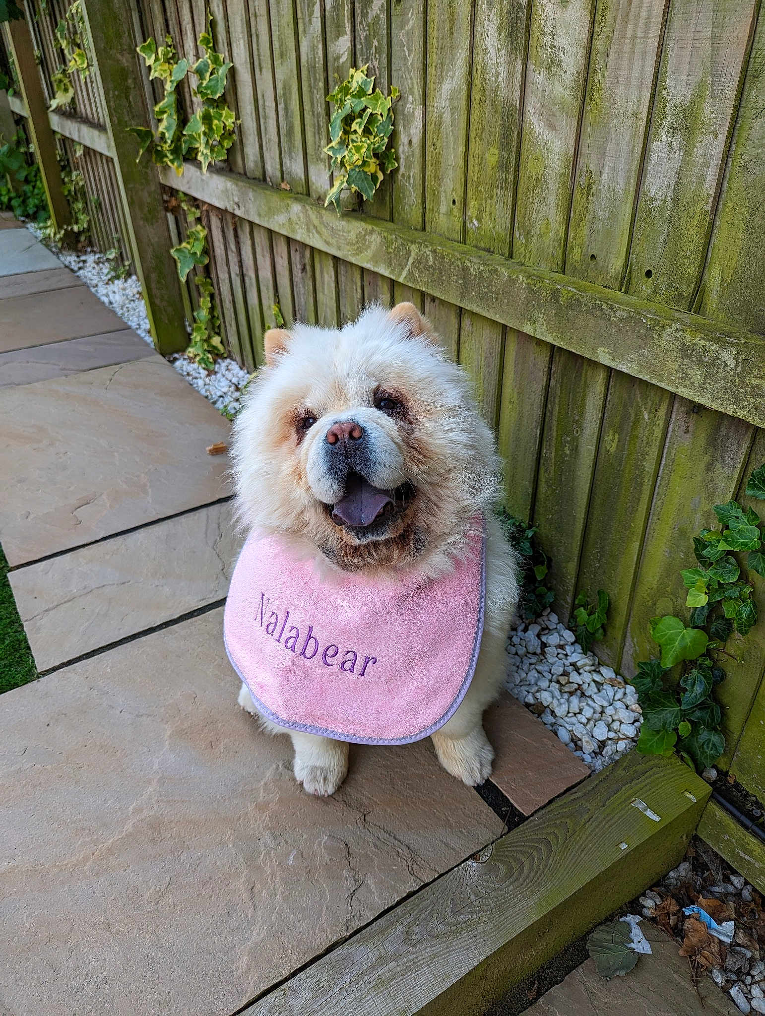 Nalabear