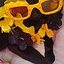 accessory, animal, black_cat, cat, closeup, costume, cozy, cute, flower_lei, funny, indoor, pet, pineapple_sunglasses, purple_flowers, relaxing, resting, soft_surface, sunglasses, tropical_theme, yellow_flowers