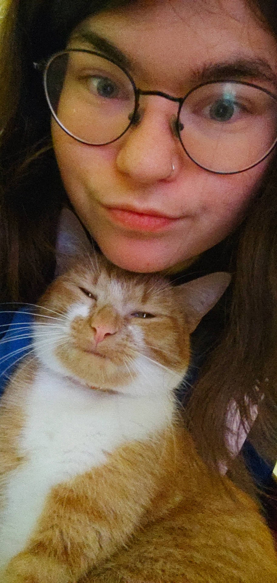 Soquette participe au concours pour gagner de l'argent avec cette photo : bangs, carnivore, cat, cheek, domestic_short_haired_cat, ear, eyelash, eyewear, fawn, felidae, formal_wear, fur, gesture, glasses, iris, nose, organ, small_to_medium_sized_cats, vision_care, whiskers