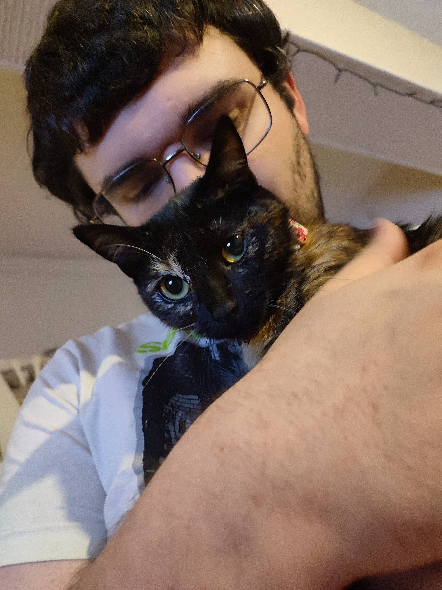 Thalya a rejoint le concours — aidez-le/la à gagner de superbes lots ! carnivore, cat, comfort, ear, eyewear, fawn, felidae, gesture, glasses, hair, iris, jaw, leg, neck, organ, shoulder, small_to_medium_sized_cats, sunglasses, vision_care, whiskers
