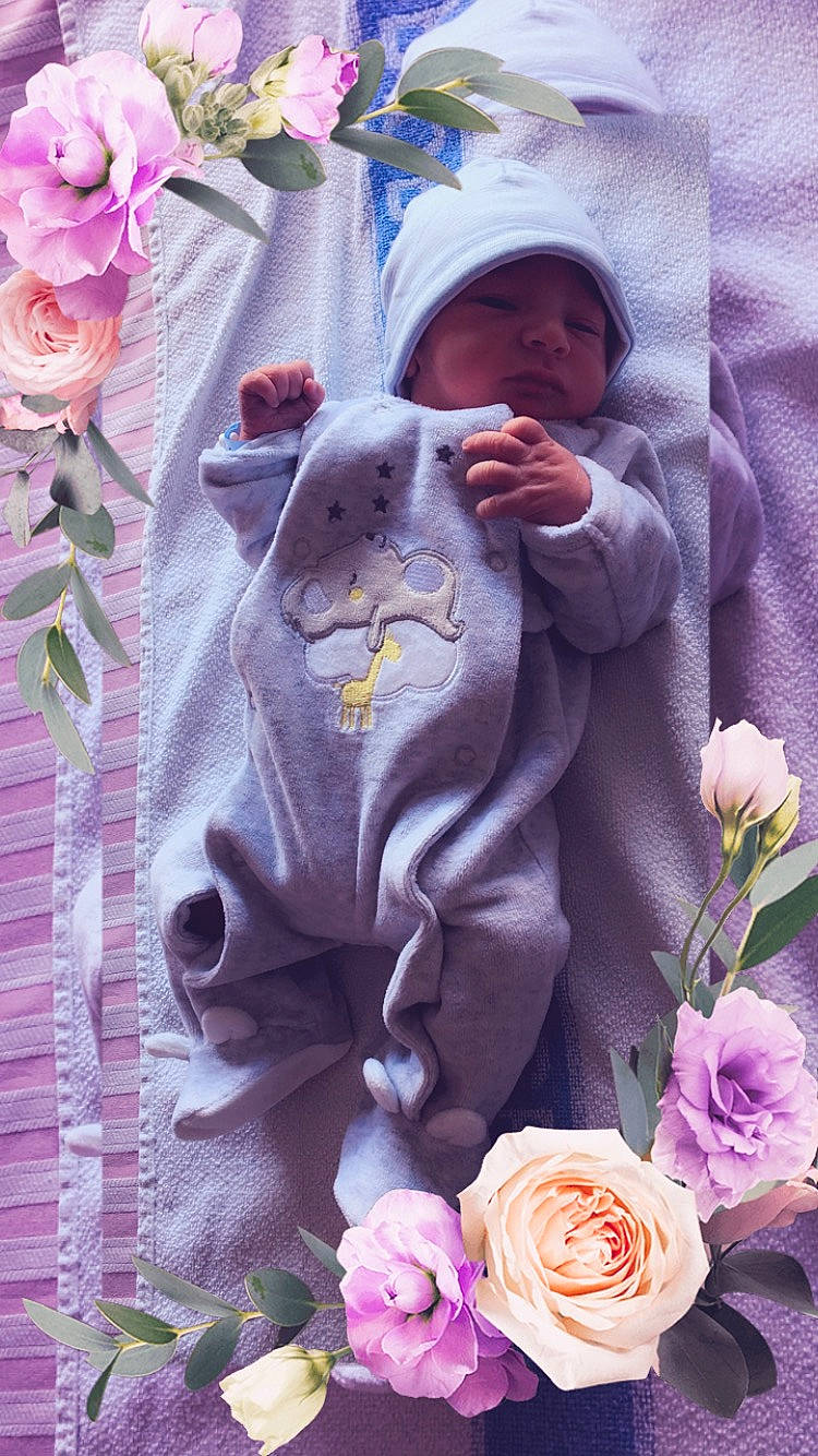 Kelvyn participe au concours pour gagner de l'argent avec cette photo : flower, lavender, lilac, person, pink, plant, purple, rose, rose_family