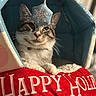 cat, tabby, holiday_bed, snowflake_toy, red, blue, pet, feline, cozy, indoor, cute, resting, holiday, festive, animal, domestic_cat, whiskers, ears, fur, cute_pet
