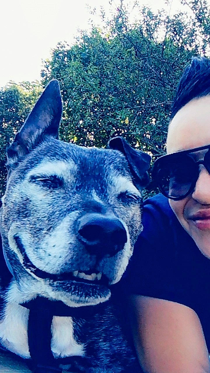 Layka participe au concours pour gagner de l'argent avec cette photo : azure, carnivore, cool, dog, dog_breed, electric_blue, eyewear, fawn, fun, gesture, goggles, grass, happy, hat, plant, selfie, snout, sunglasses, vision_care, working_animal
