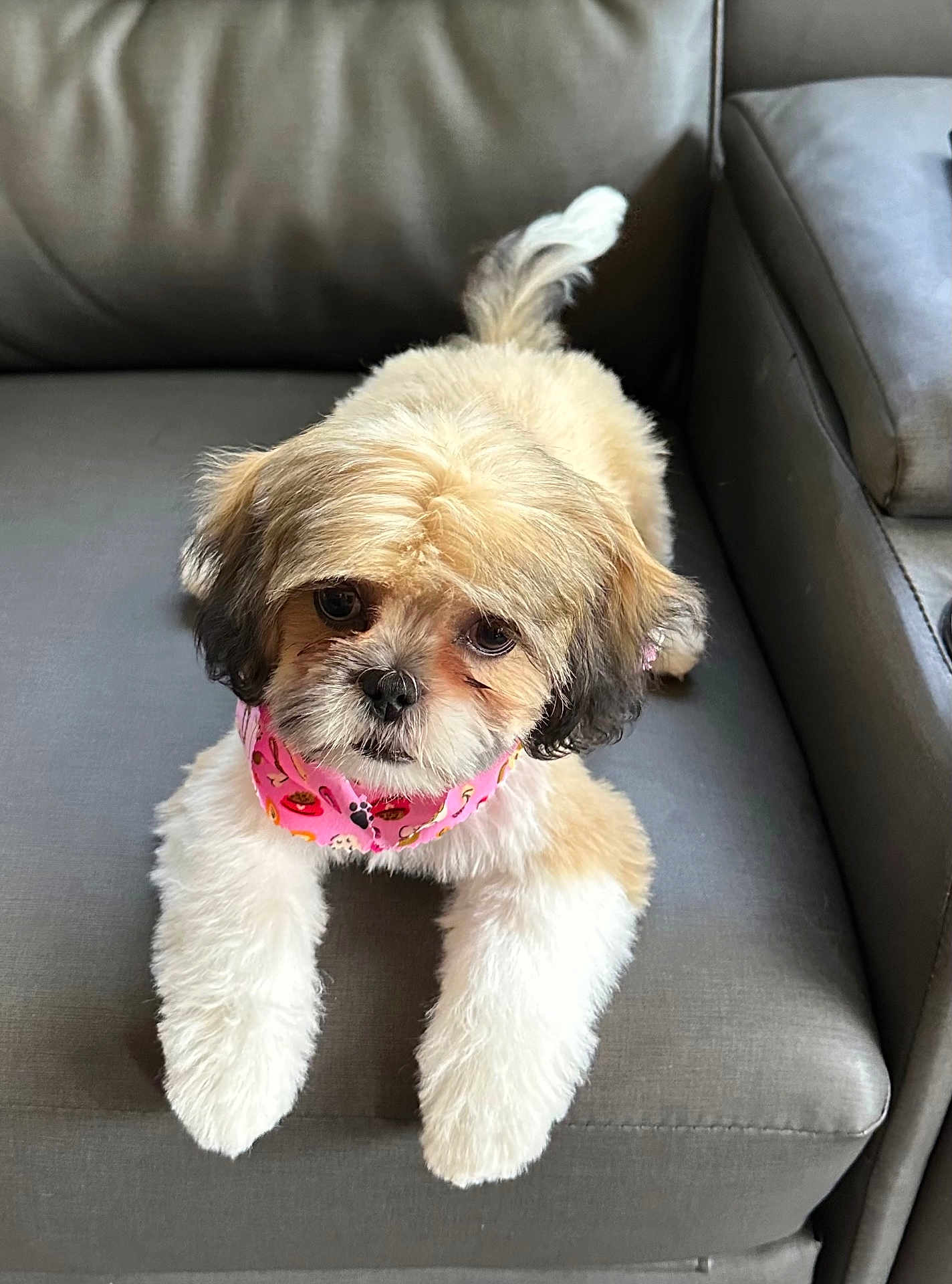 Millie