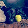 Benelli is registered to the contest to win money with this photo: