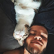 Clafoutis participe au concours pour gagner de l'argent avec cette photo : cat, man, selfie, indoor, relaxed, lying_down, shirtless, pet, animal, beard, closeup, companion, feline, resting, casual, portrait, friendship, cozy, couch, happy