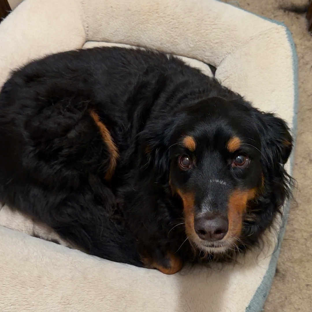 Maggie