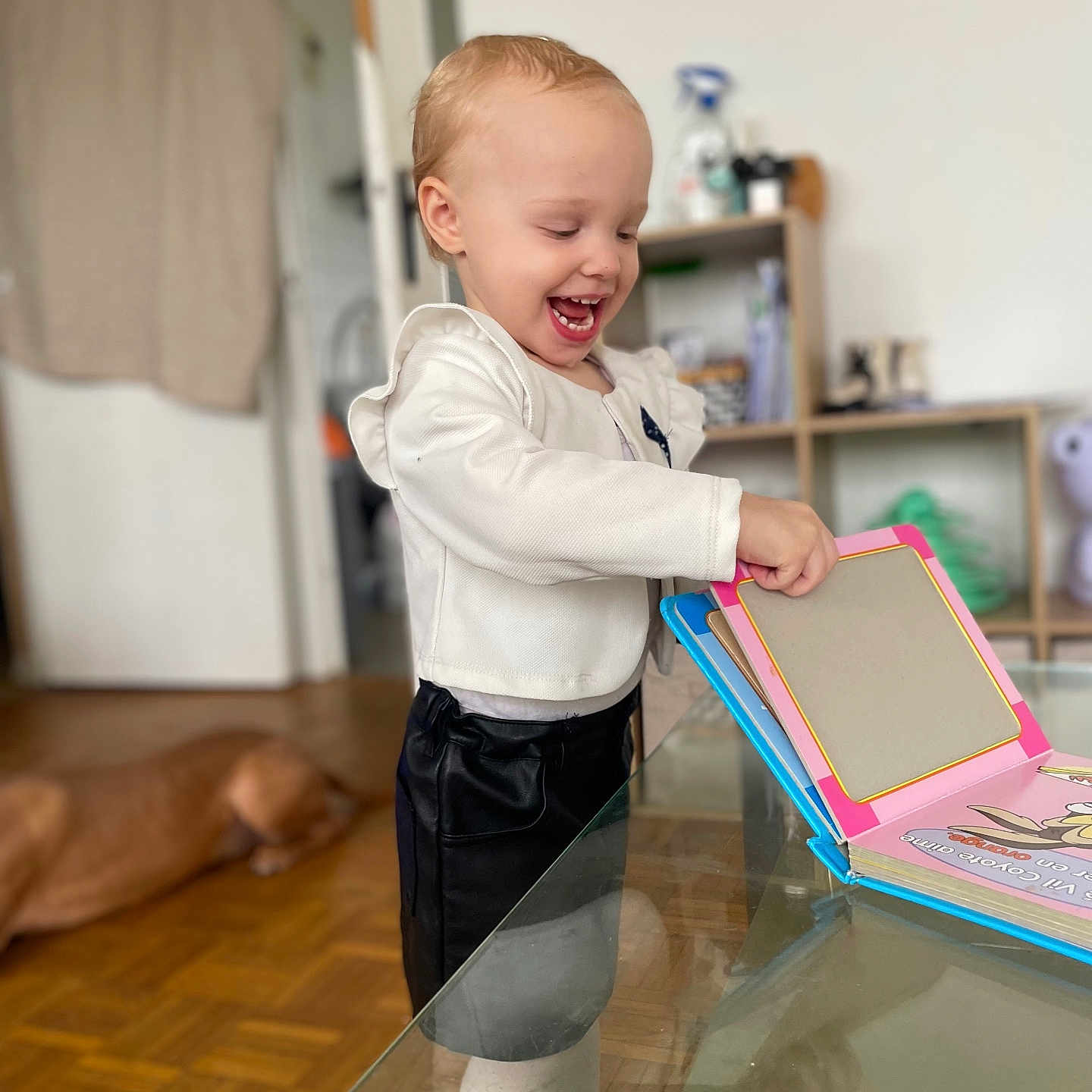 Kylee a rejoint le concours — aidez-le/la à gagner de superbes lots ! animal, baby, babylaughing, boy, canine, child, clothing, computer, dog, face, happy, head, male, pants, person, pet, photography, portrait, smile, wood