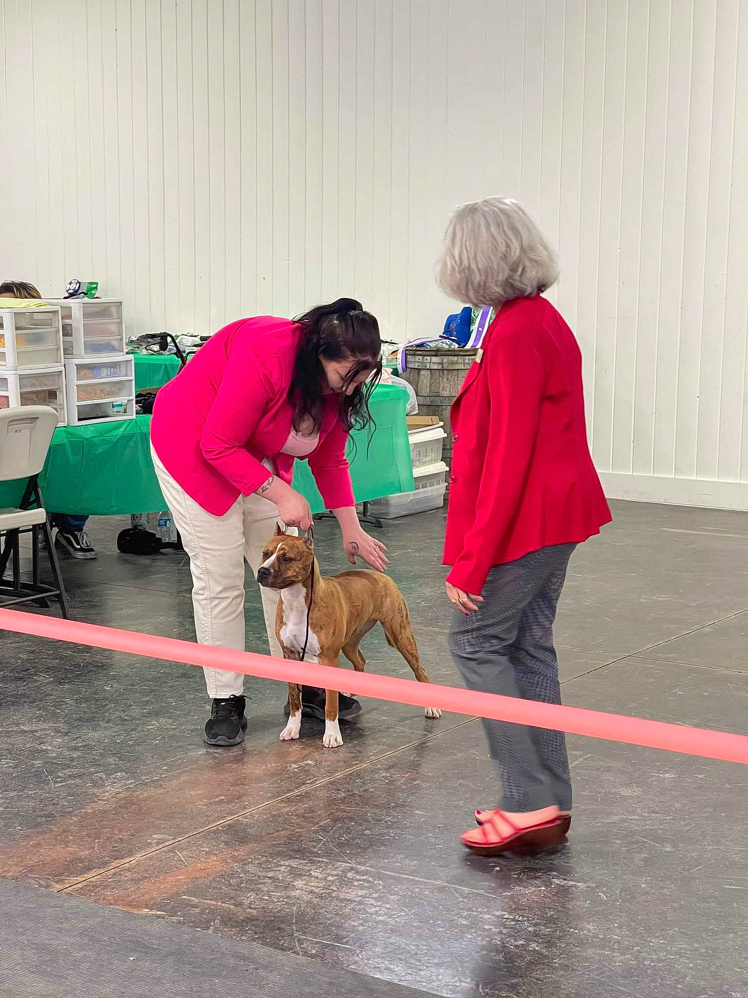 Aerial joined the competition — help win amazing prizes! asphalt, boot, companion_dog, dog, event, floor, flooring, fun, hardwood, human_leg, knee, leisure, magenta, recreation, road_surface, shelf, shoe, sneakers, sporting_group, visual_arts