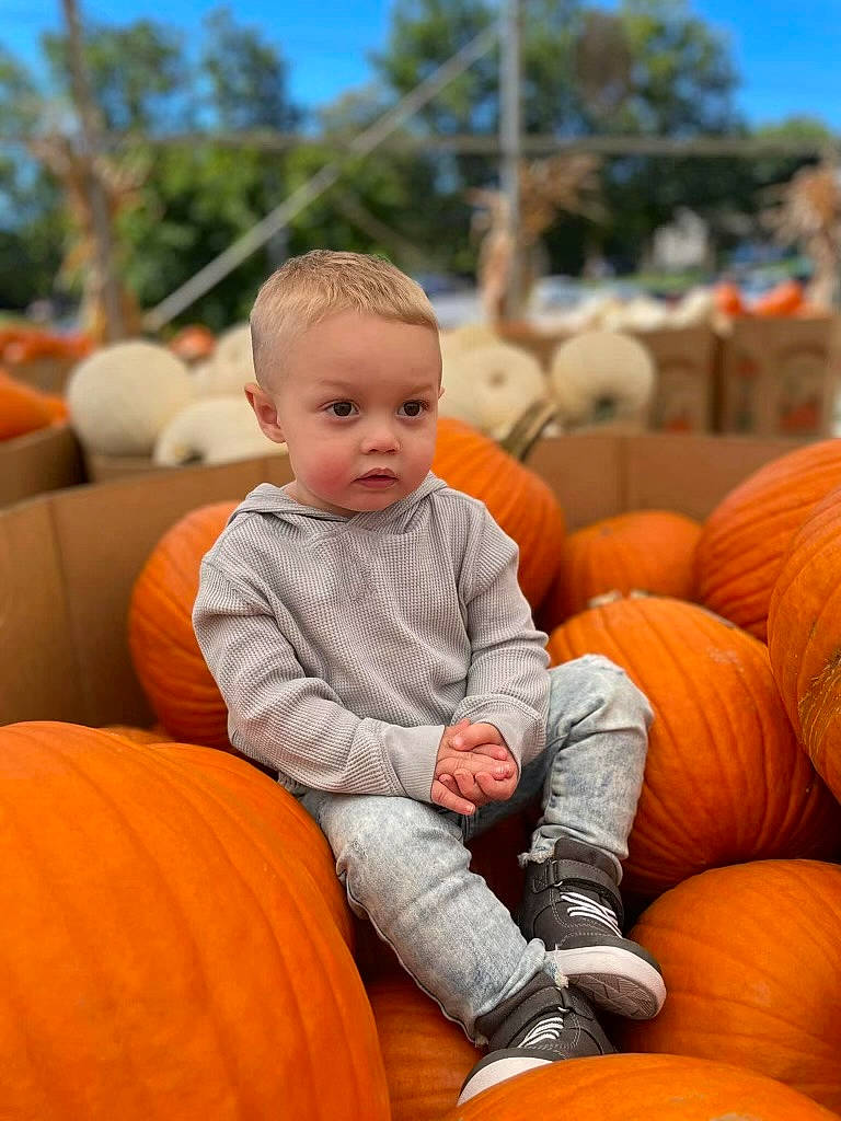 Gunner is registered to the contest to win money with this photo: calabaza, cucurbita, eye, facial_expression, gourd, grass, hand, head, human_body, leaf, natural_foods, orange, organ, people, person, plant, pumpkin, sky, squash, vegetable