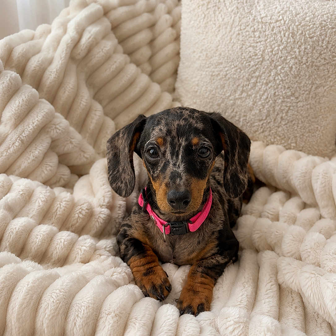 Betty