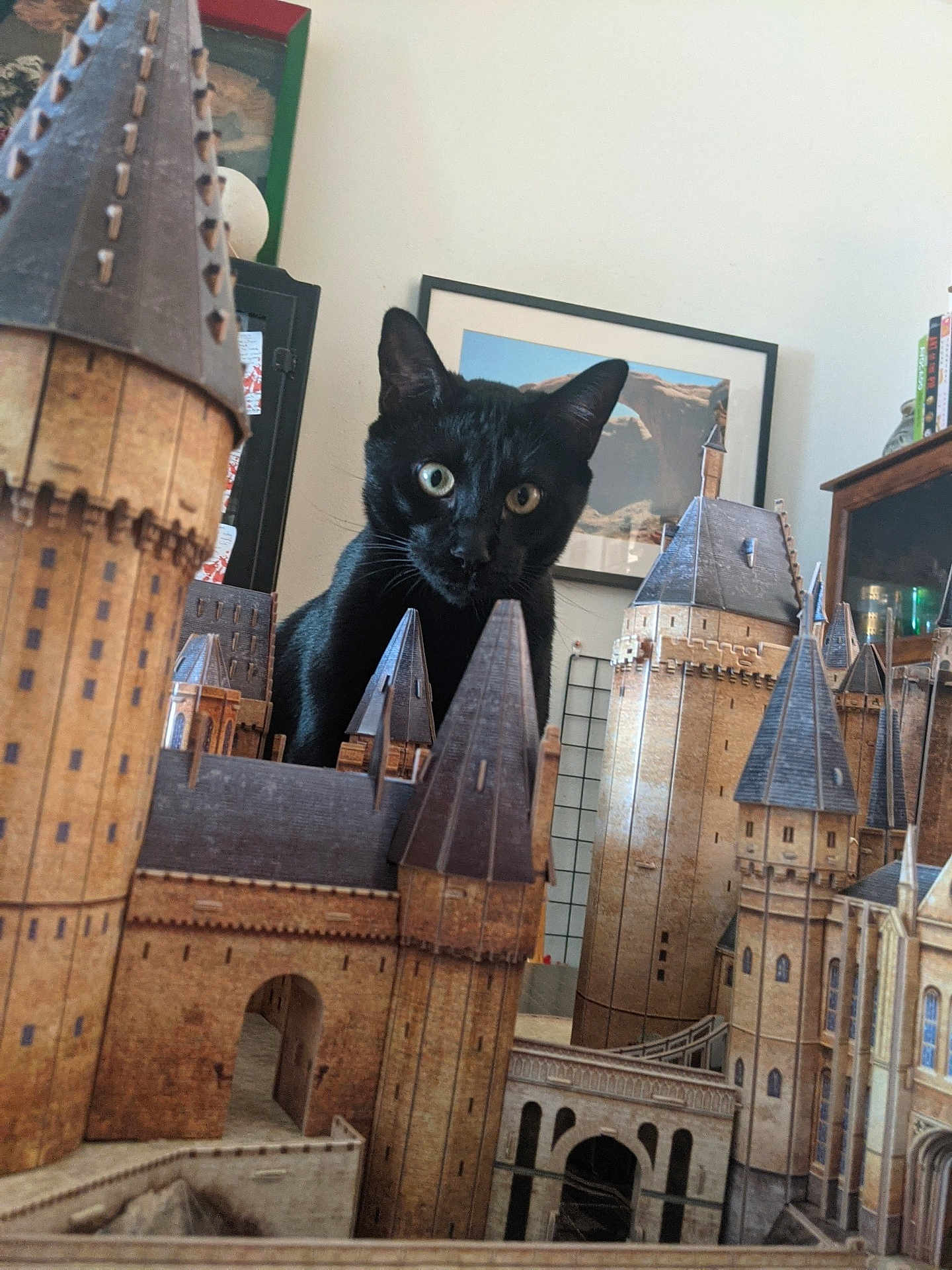 Loki is registered to the contest to win money with this photo: black_cat, cat, model_castle, miniature, indoor, furniture, decor, building, architecture, tower, window, door, roof, animal, pet, curious, looking, ears, whiskers, eyes