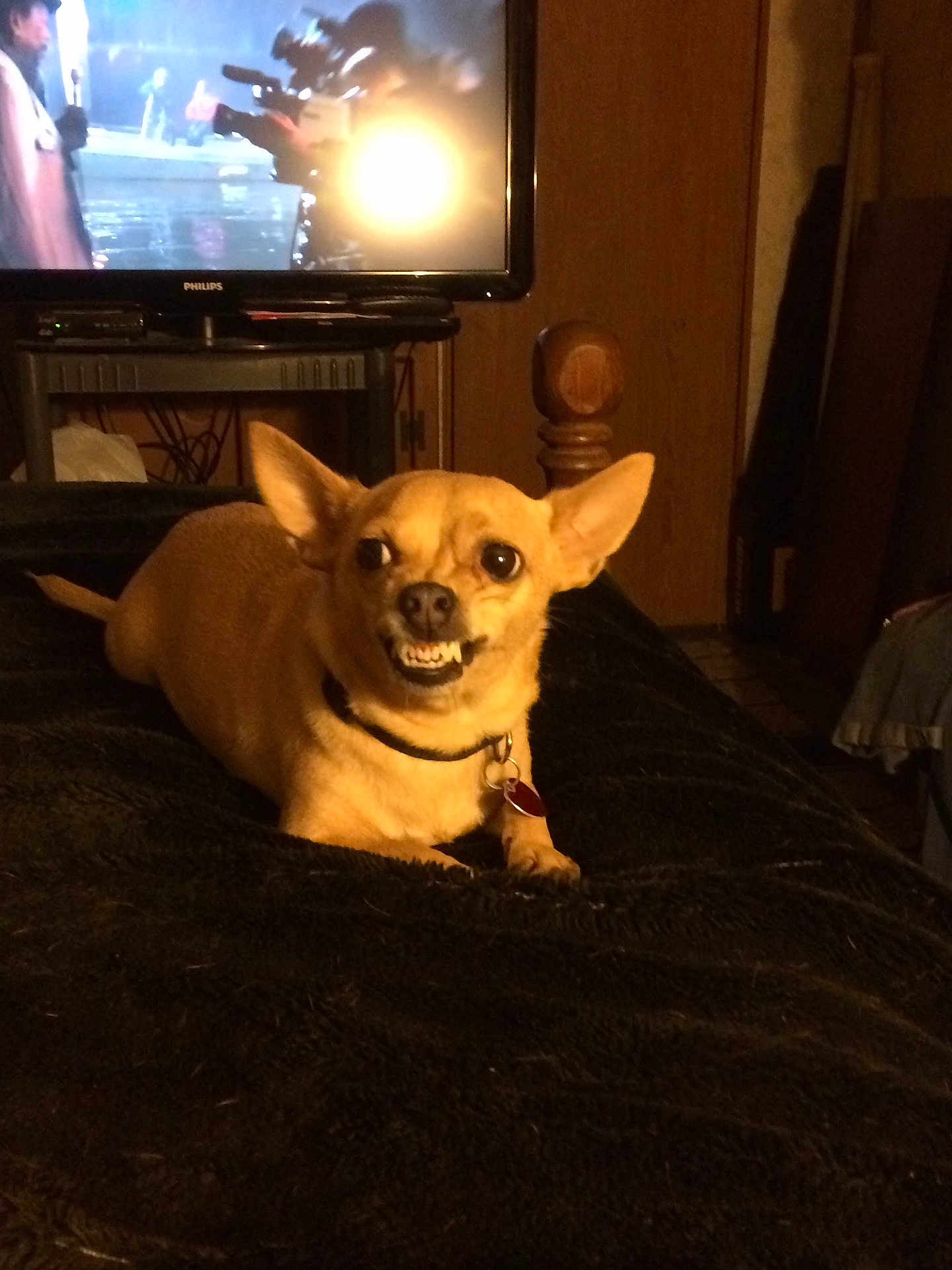 Peanut