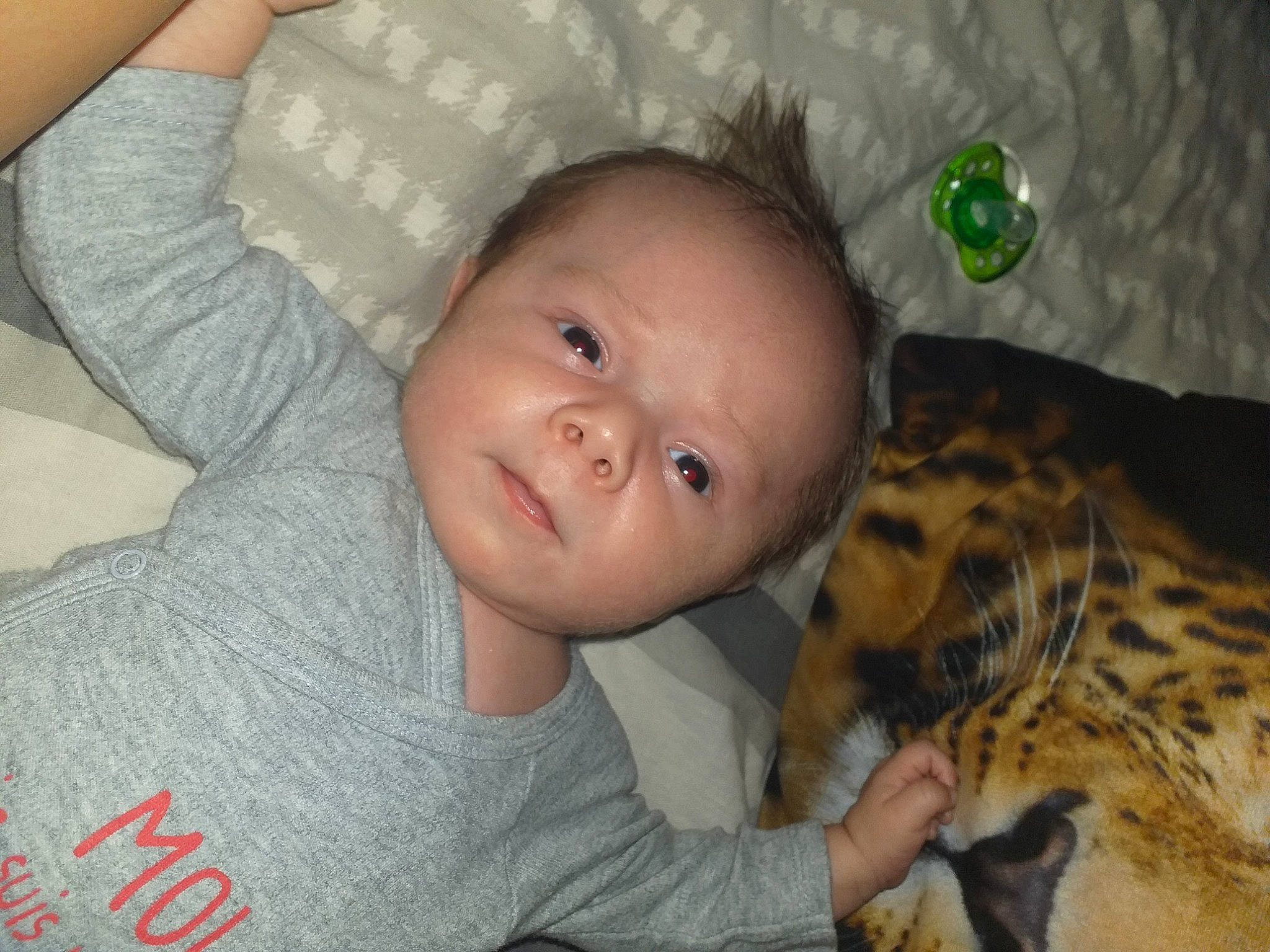 Juliyan a rejoint le concours — aidez-le/la à gagner de superbes lots ! adaptation, baby, baby_products, cheek, child, ear, eye, face, fawn, felidae, finger, head, mouth, neck, nose, person, product, skin, toddler