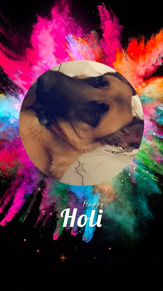 Lara a rejoint le concours — aidez-le/la à gagner de superbes lots ! art, fawn, graphic_design, graphics, pug, space