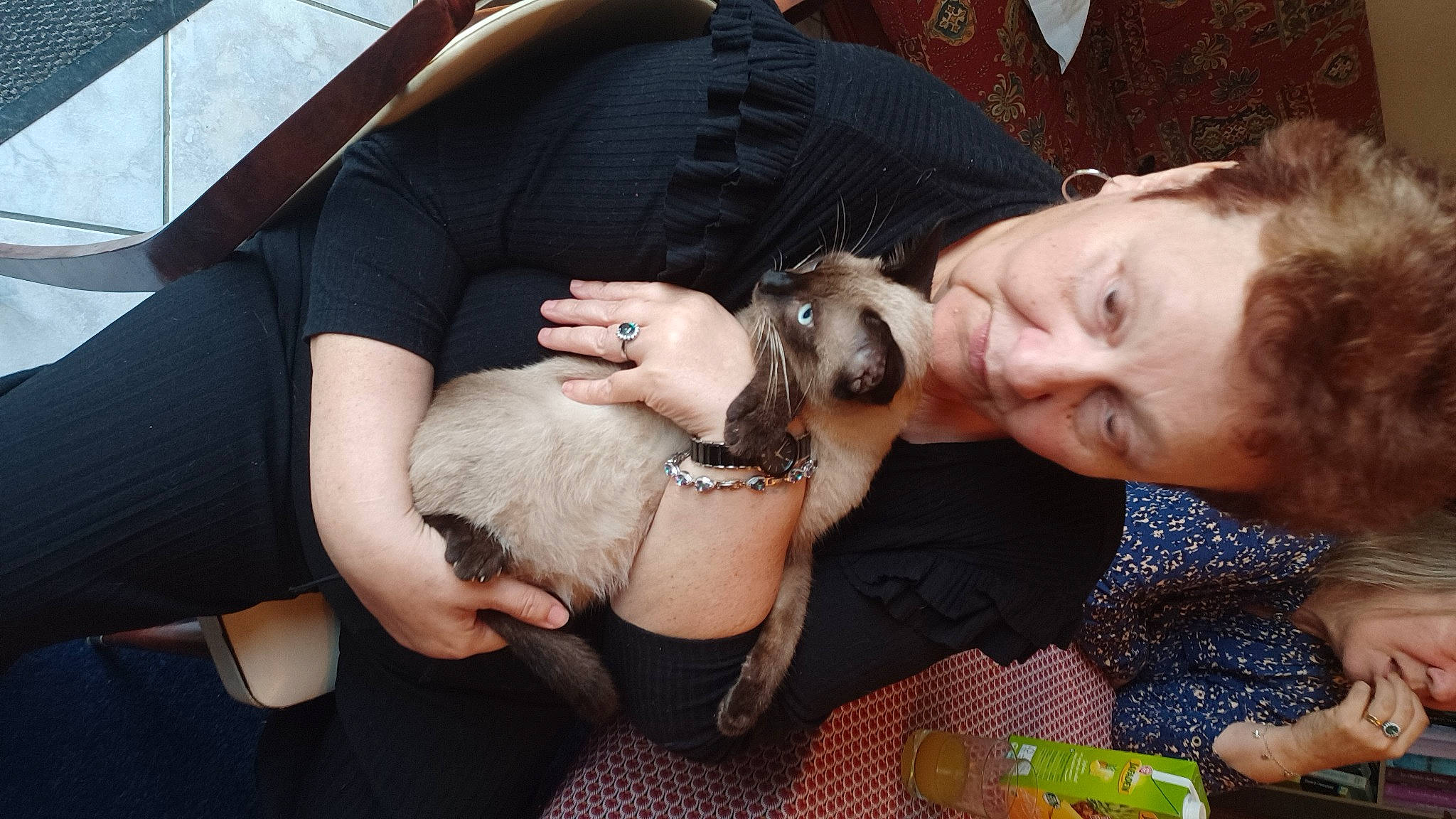 Thor a rejoint le concours — aidez-le/la à gagner de superbes lots ! carnivore, comfort, companion_dog, dog, dog_breed, event, eyewear, fawn, finger, fun, fur, gesture, hand, happy, nail, puppy_love, sitting, snout, sunglasses, toy_dog