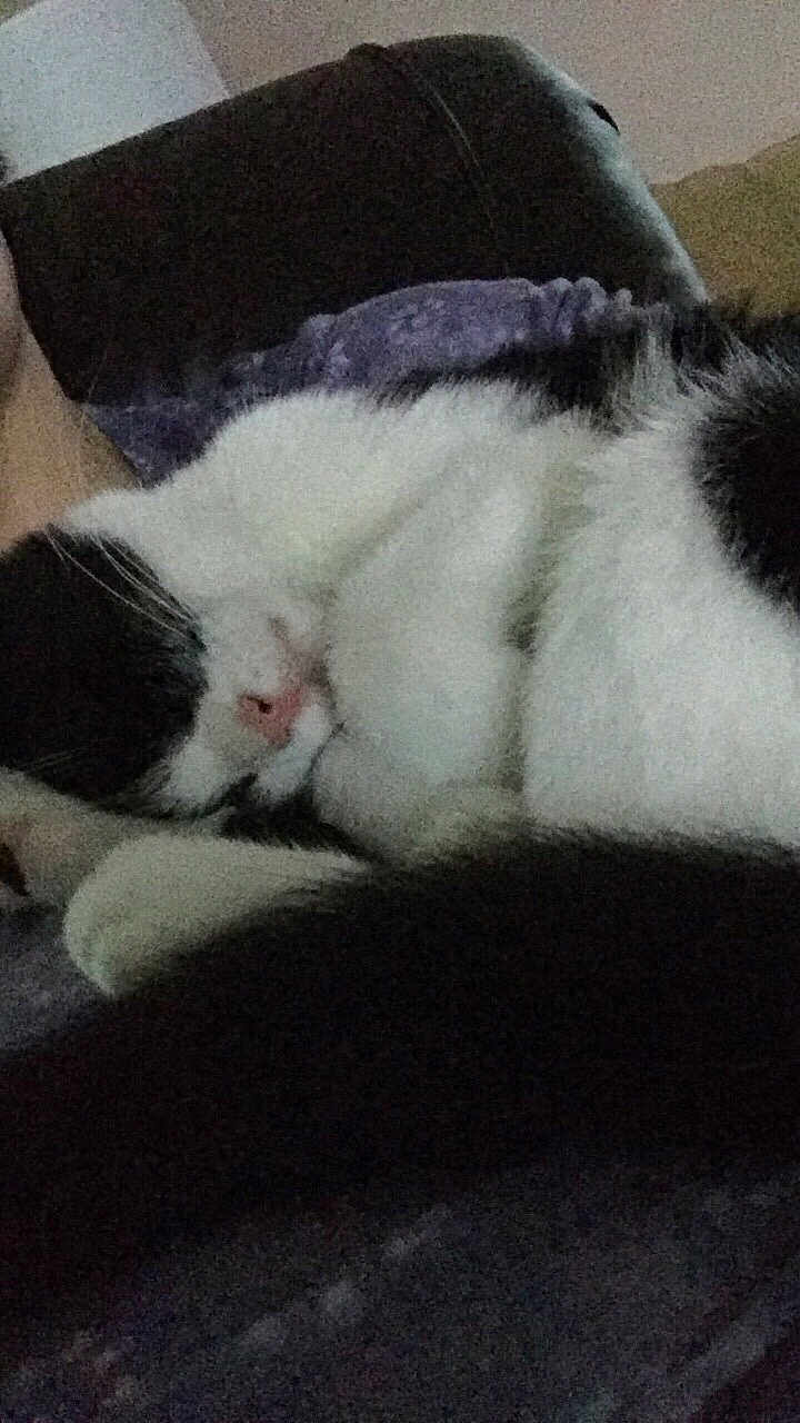 Baby