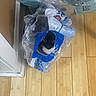 Inky joined the competition — help win amazing prizes! animal, black_and_white_cat, cat, crinkled, curious, cute, domestic, flooring, fur, hidden, household, indoor, packaging, peeking, pet, plastic_bag, playful, whiskers, wide_eyes, wooden_floor