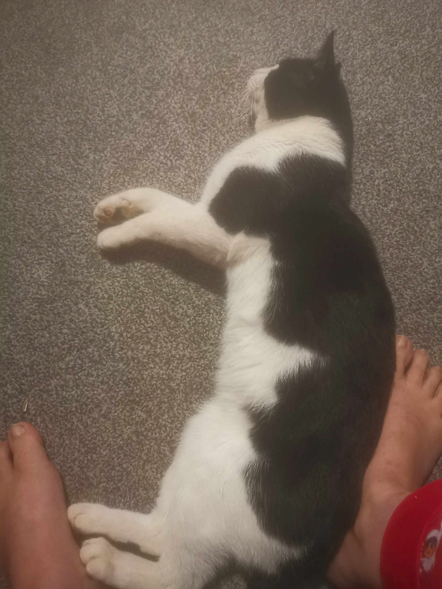 Ben