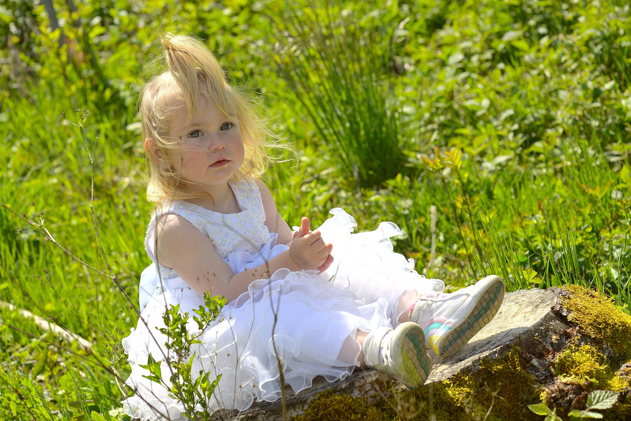Inaya participe au concours pour gagner de l'argent avec cette photo : baby, baby_toddler_clothing, blond, botany, child, dress, eye, fawn, grass, grass_family, grassland, hair, happy, lawn, leaf, meadow, people_in_nature, person, plant, sunlight
