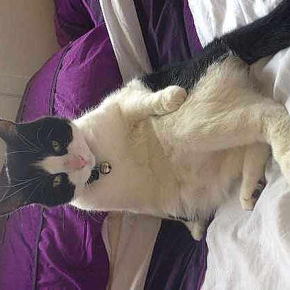 Henry joined the competition — help win amazing prizes!