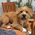 Leo P.